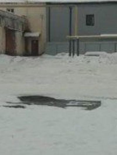 kalitka