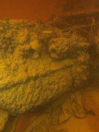 полуторки_1