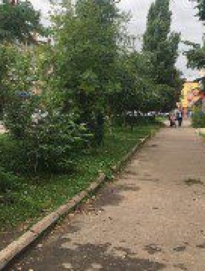 сквер2