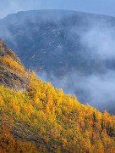 полуострв 2