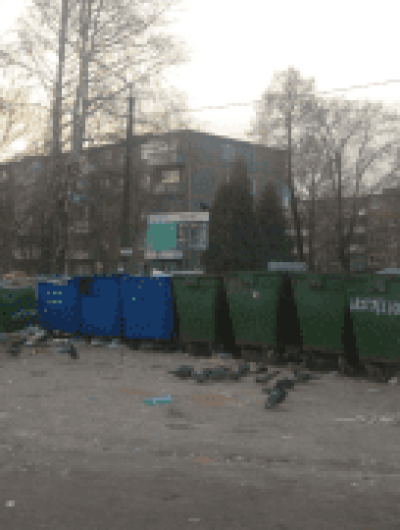 Зеленая роща 02