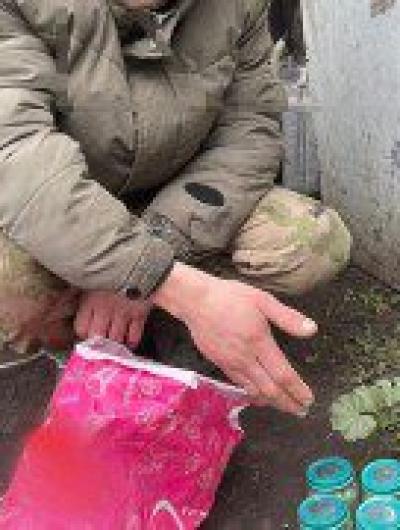 Конопля и марихуана детское питание - Дмитровск (2)