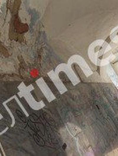 торговыеряды(5)