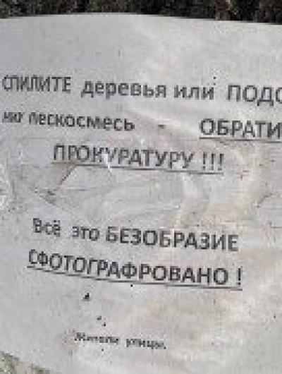 деревья