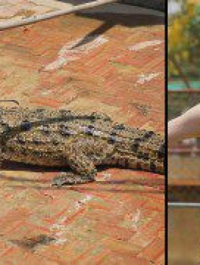 Любовь на выживание_пара из Орла_5