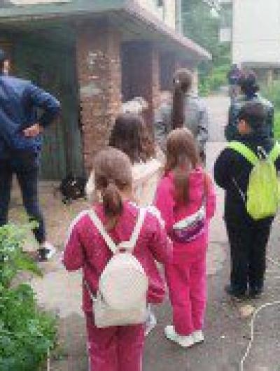 кот спасение