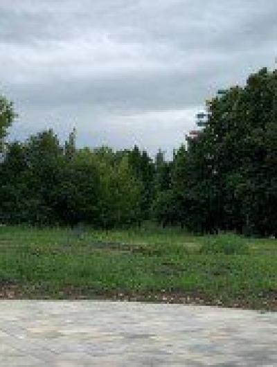 photo_2024-06-24_17-17-38