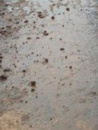 IMG_20211212_090824_982