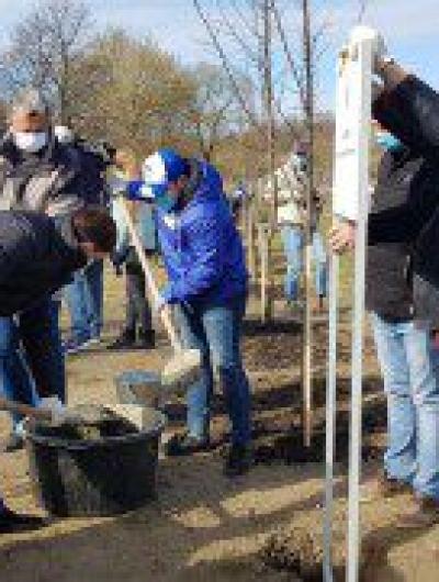 IMG_20200411_112845_104