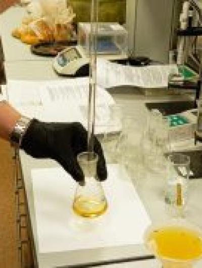 image-31-03-26-03-53-3