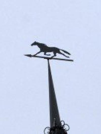 флюгер на усадьбе Телегинап