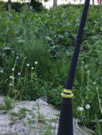 сквер победы