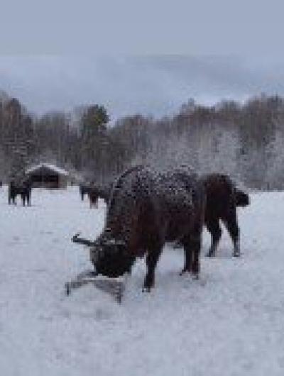 Screenshot_20220116_100117