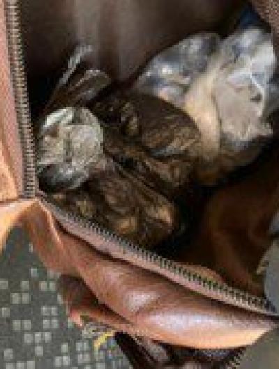 IMG-20210802-WA0017-800x600