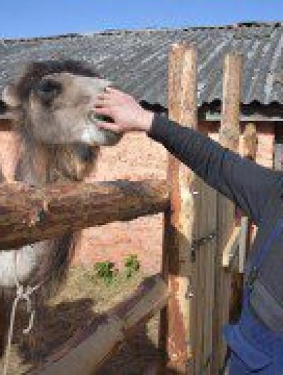 photo_2022-05-27_10-48-50