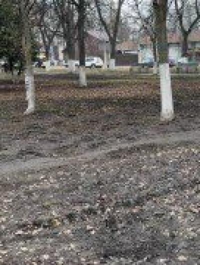 сквер (2)