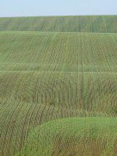 дмитрий голубев