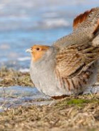 jyLixvSjjbOvv8I_MqytoX3BLma3fQMiDk10tttcGZklu-I26TeHF0KCMcwwxMMnJNnCNlthXaK-yM5FZM1HU9iW