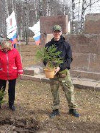 Посадка аллеи