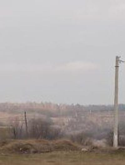 Аисты