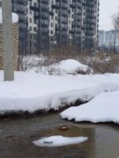 photo_2026-02-09_11-08-49