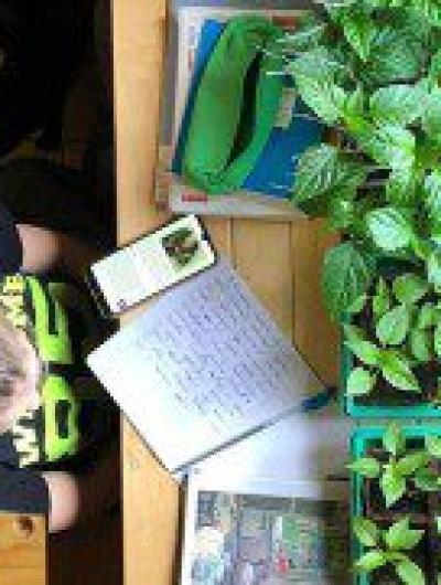 E05F59D2-F67A-472E-8D92-3F13403ADB29