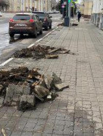 Очередной спил деревьев в центре Орла показал разочарование горожан во властях 1