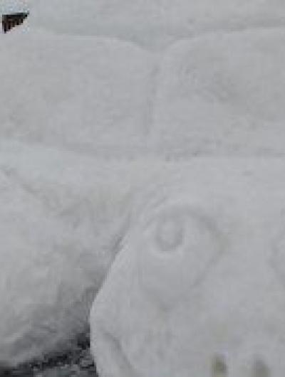 снег1