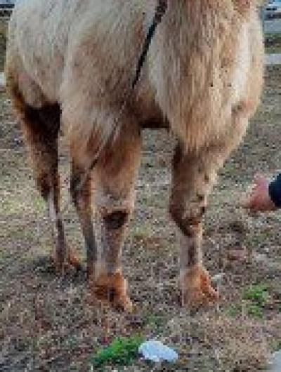 E5706731-539A-4F9B-ABD8-DD6CDF55088F