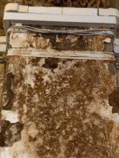 photo_2024-05-14_11-18-13