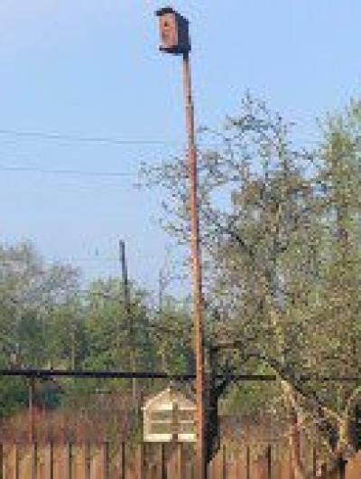 81629745-F1CE-4F35-9CEE-4DE2267C6D9C