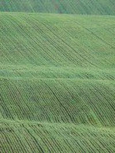 дмитрий голубев пейзаж