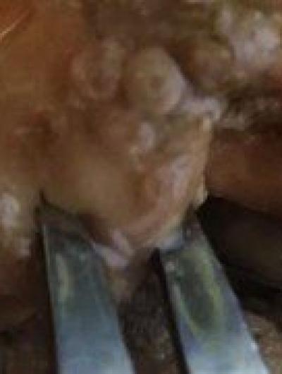 7xSoHL3h7Ug