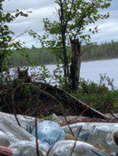 Время спасать Арктику2