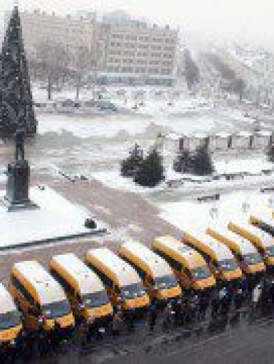 автобусы (1)