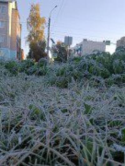 заморозки 2