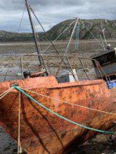 Время спасать Арктику1