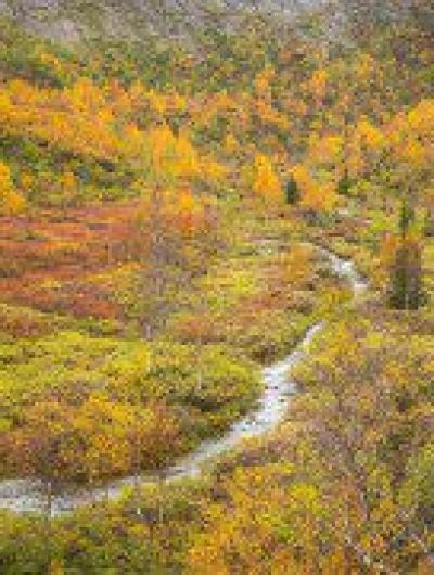 полуостров4