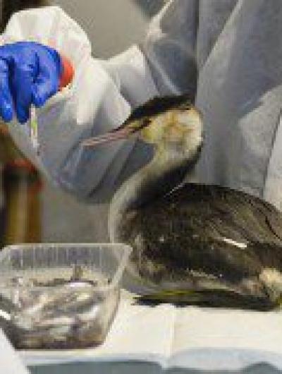 ФЗП_НИКОЛАЙ ШПИЛЕНОК_Анапа_2025 (10)