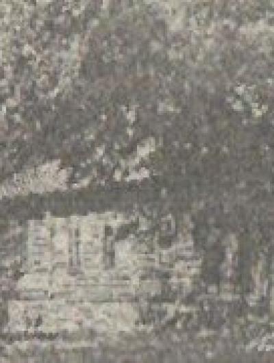 Флигель-изгнанника-39