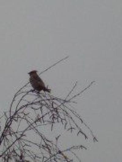 photo_2025-10-28_18-51-26