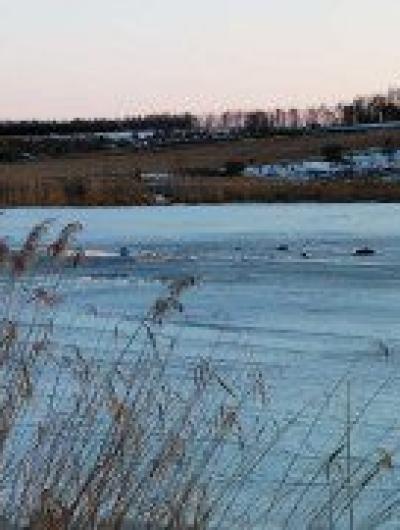 IMG_20210329_185249