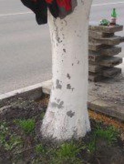работы на Пионерской_1