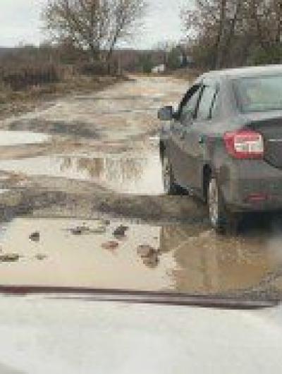 photo_4_2025-12-16_16-16-36