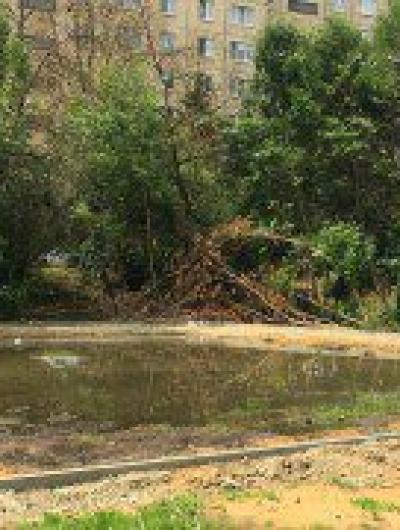 спортплощадка 2