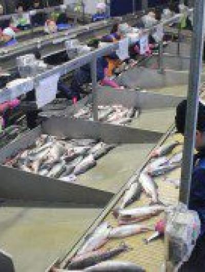 Процесс работы_1