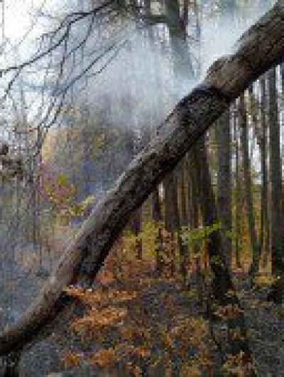 photo_2020-10-07_15-22-58