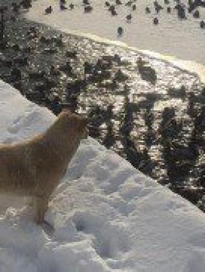 149690297_2830217510572737_4907172491257782021_o