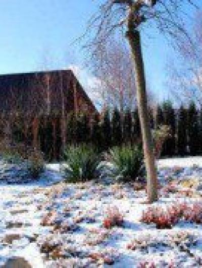 images_cms-image-000030682