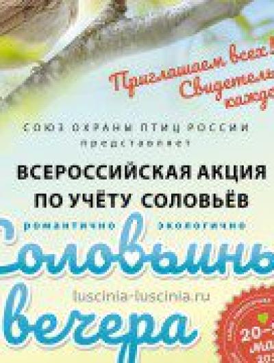 акция
